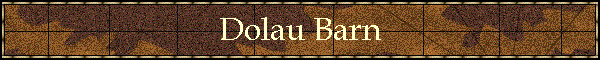 Dolau Barn